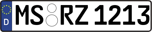 MS-RZ1213