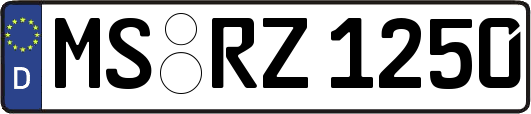 MS-RZ1250