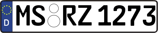 MS-RZ1273