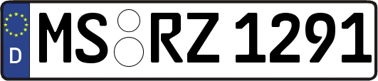 MS-RZ1291