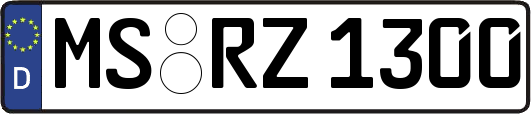 MS-RZ1300