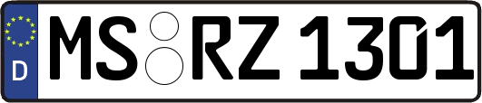 MS-RZ1301