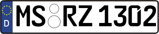 MS-RZ1302