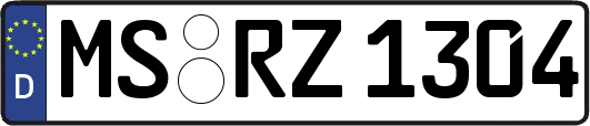 MS-RZ1304