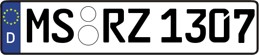 MS-RZ1307