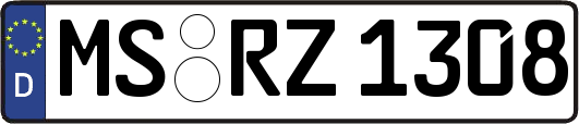 MS-RZ1308