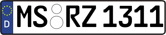 MS-RZ1311