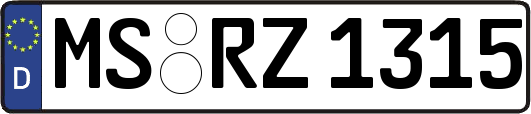 MS-RZ1315