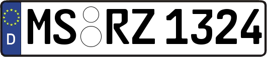 MS-RZ1324