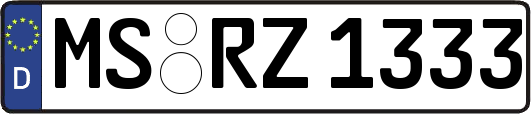 MS-RZ1333
