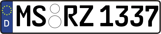MS-RZ1337