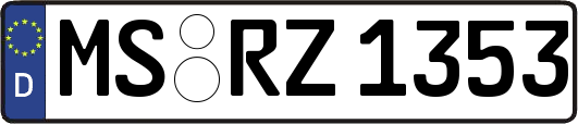 MS-RZ1353