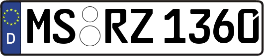 MS-RZ1360