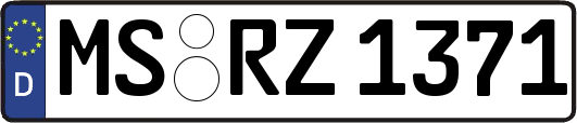 MS-RZ1371