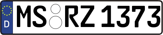 MS-RZ1373