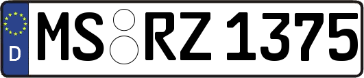 MS-RZ1375