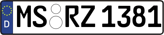 MS-RZ1381