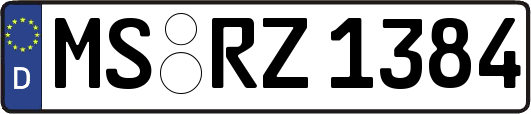 MS-RZ1384