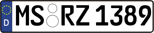 MS-RZ1389