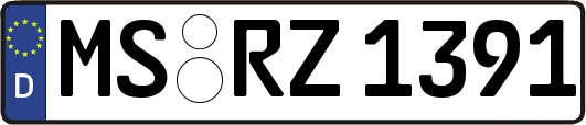 MS-RZ1391