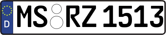 MS-RZ1513