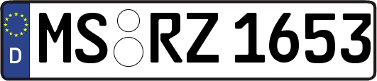 MS-RZ1653