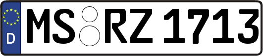 MS-RZ1713