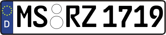 MS-RZ1719