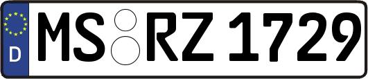 MS-RZ1729