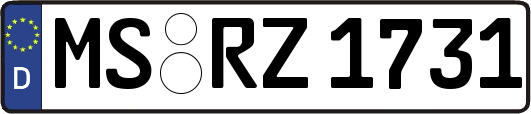MS-RZ1731