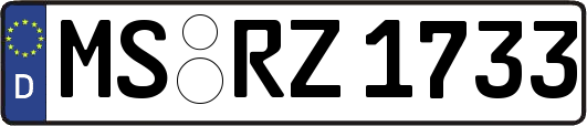 MS-RZ1733