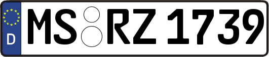 MS-RZ1739
