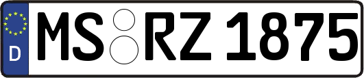MS-RZ1875