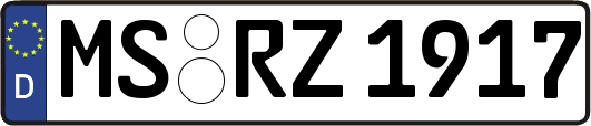 MS-RZ1917