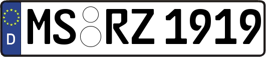 MS-RZ1919