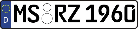 MS-RZ1960