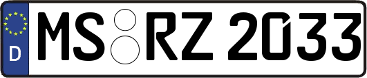 MS-RZ2033