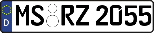 MS-RZ2055