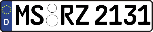 MS-RZ2131