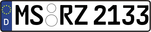 MS-RZ2133
