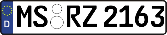 MS-RZ2163