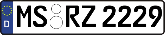 MS-RZ2229
