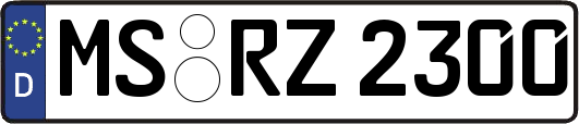 MS-RZ2300