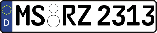MS-RZ2313