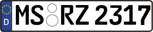 MS-RZ2317