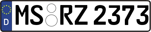 MS-RZ2373