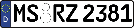 MS-RZ2381