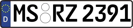 MS-RZ2391