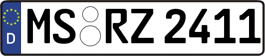 MS-RZ2411