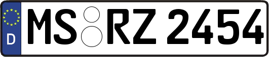 MS-RZ2454